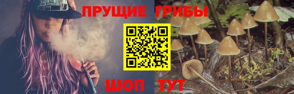 Галлюциногенные грибы Psilocybine cubensis Краснокаменск